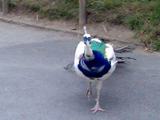 Besuch in Schönbrunn - 