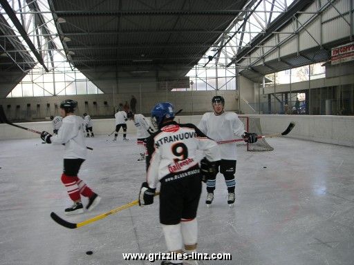 me@hockey -- GRIZZLIES LINZ - 