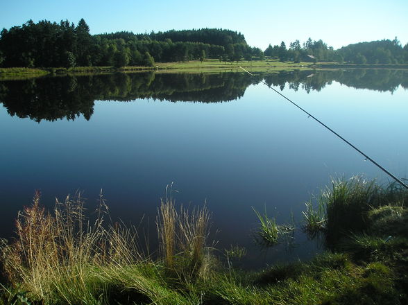 Fischen am Frauenwieserteich - 