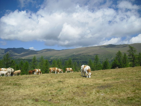 Wanderung Hochrindl - 