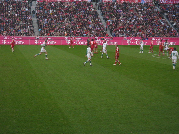 Allianz Arena!! - 