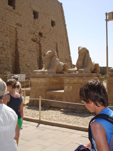 Ägypten 2008 - 