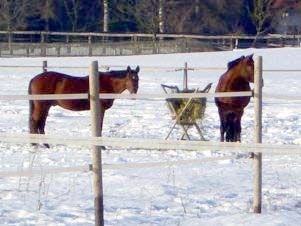 Meine Heimat - 