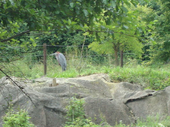 Tierpark Schmiding - 