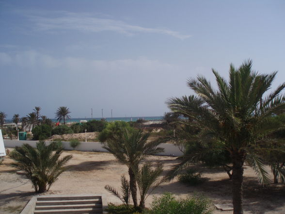 Urlaub in Djerba und Kärnten - 