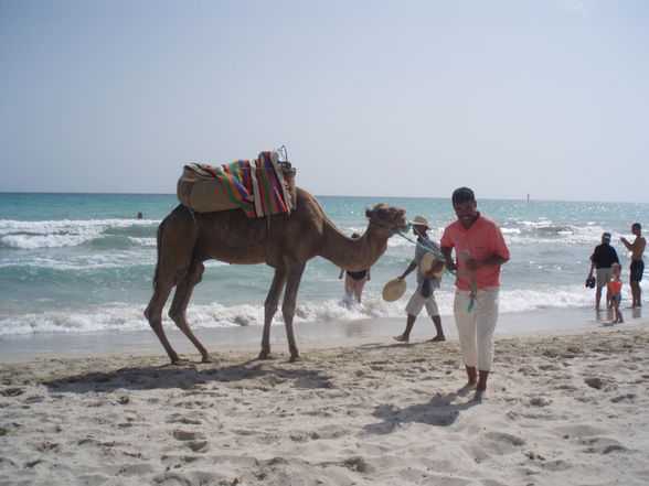 Urlaub in Djerba und Kärnten - 