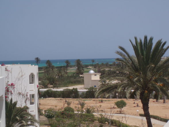 Urlaub in Djerba und Kärnten - 