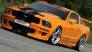 Mustang - 