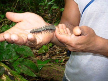 ecuador-mi tierra - 