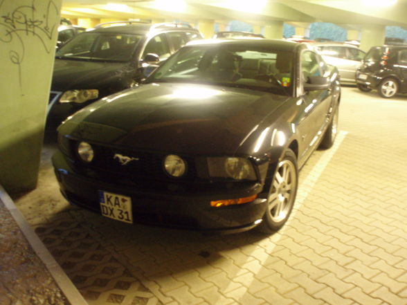 Mustang Shelby GT - 