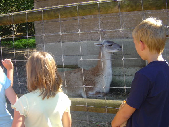 Tierpark Haag - Ferienpassaktion - 