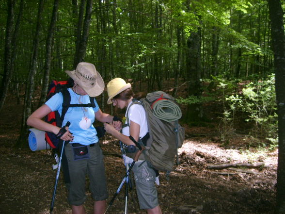 Camino de Santiago - 