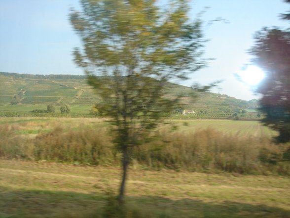 Somm. ausflug zum Waldschütz im Kam - 