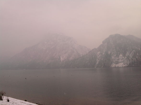 bissi Traunsee - 