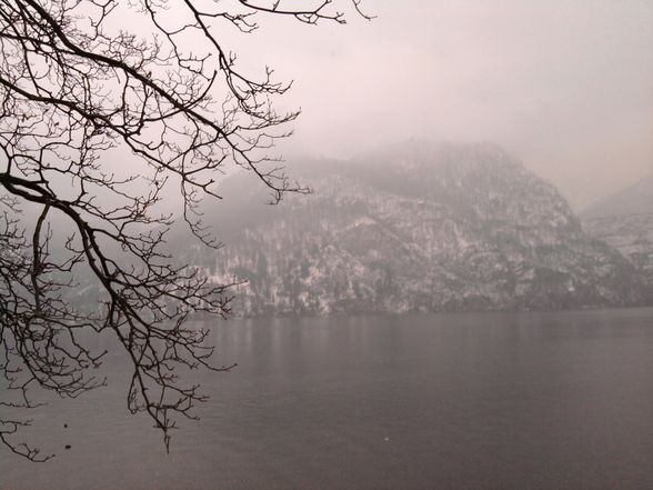 bissi Traunsee - 