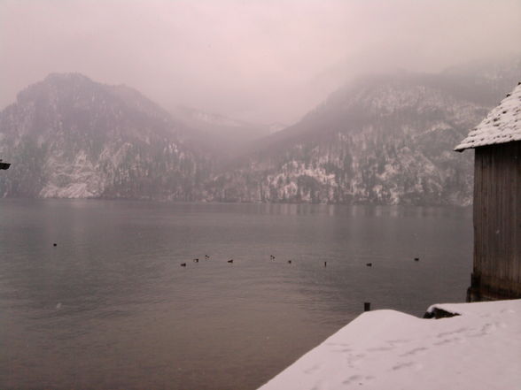 bissi Traunsee - 