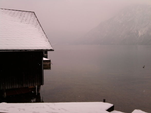 bissi Traunsee - 