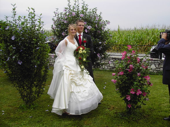 hochzeit - 