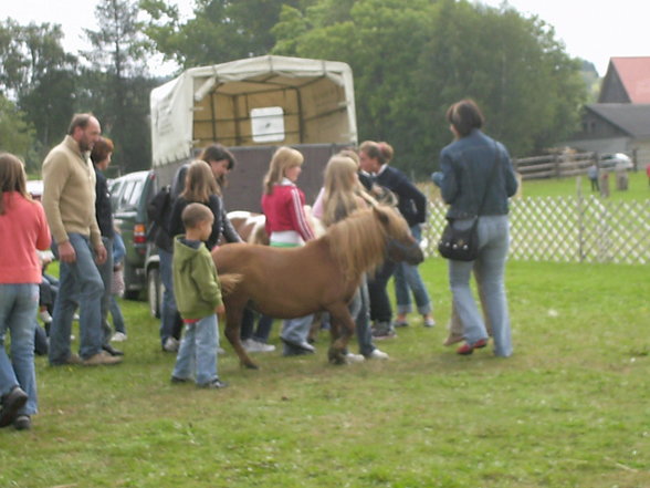 schenkenfelden!!!! - 