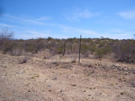 ---Bike Weekend-Arizona--- - 