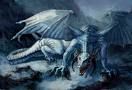 Dragons - 