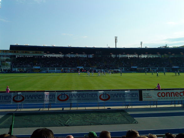 lask-rapid - 