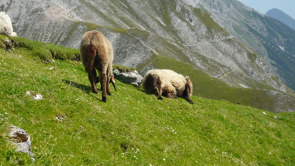 Urlaub Tirol 2009 - 