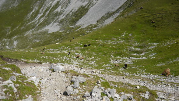 Urlaub Tirol 2009 - 