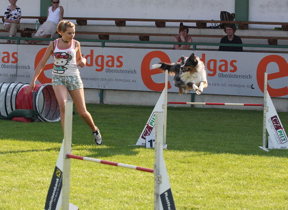 Spencer und ich beim Agility Tunier - 