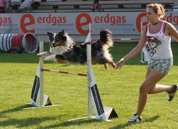 Spencer und ich beim Agility Tunier - 