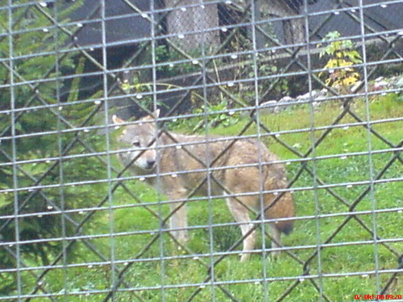 Tierpark Grünau!!!!! - 