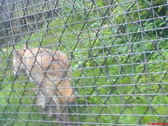 Tierpark Grünau!!!!! - 