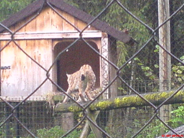 Tierpark Grünau!!!!! - 