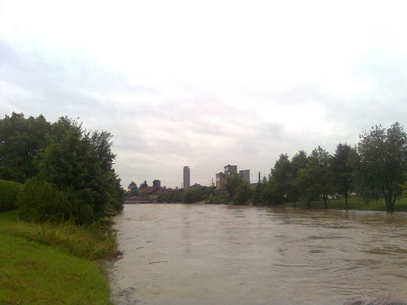 Hochwasser 23.6.09 - 