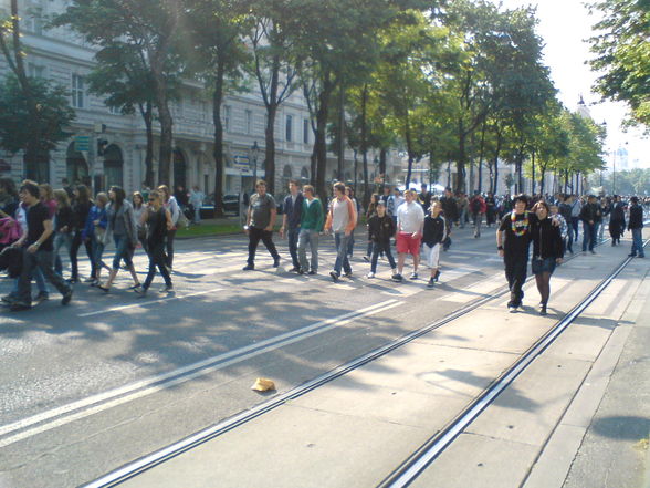 Streik in vienna..... - 