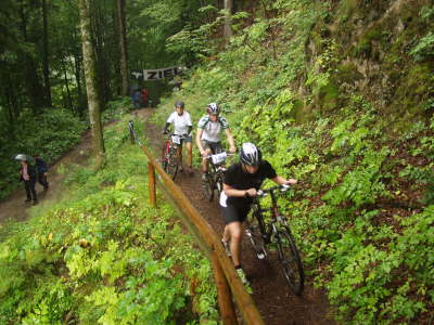 Mountainbike - 