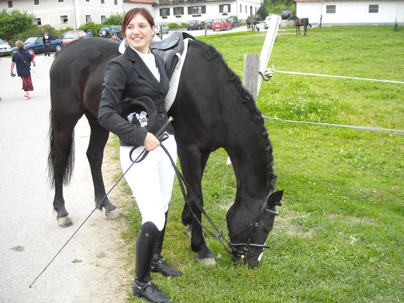 Unterwegs mit dem Pony 2009 - 