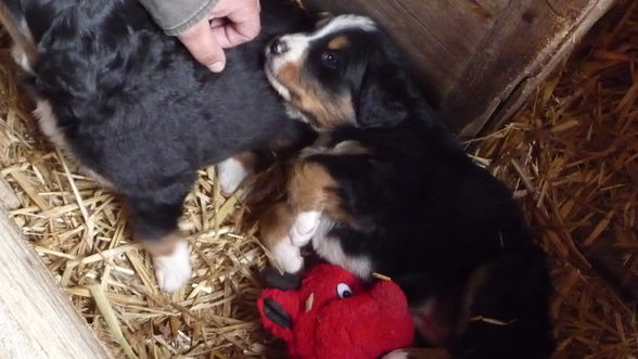 ° unser ° Baby ° - 