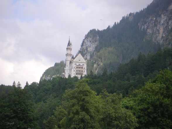 Neuschwanstein - 