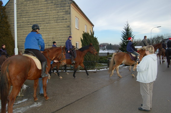 Mein Pferd Wanda - 