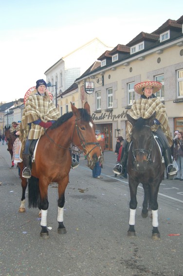 Mein Pferd Wanda - 