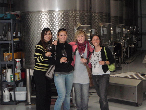 wine tasting in gilroy - 