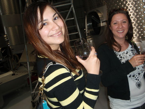 wine tasting in gilroy - 