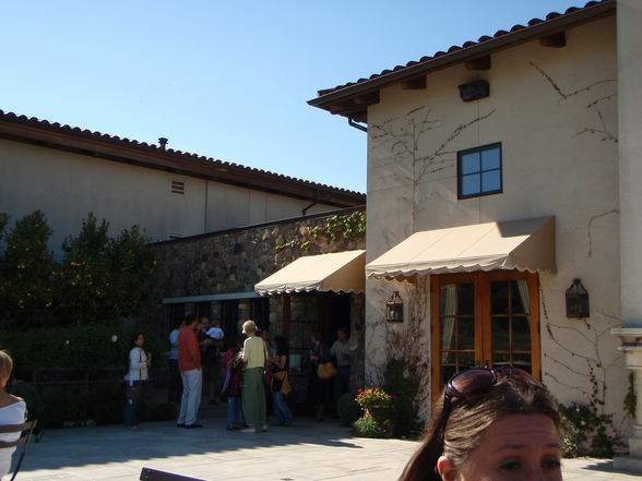 wine tasting in gilroy - 