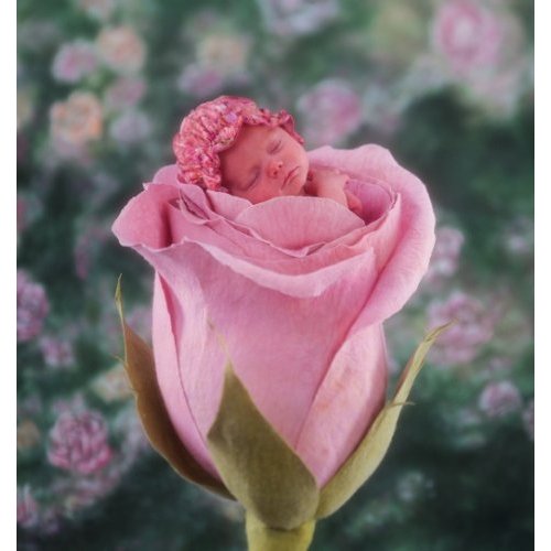 my lOVELy PICs by Anne Geddes - 