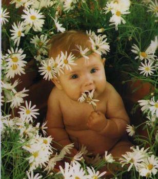 my lOVELy PICs by Anne Geddes - 