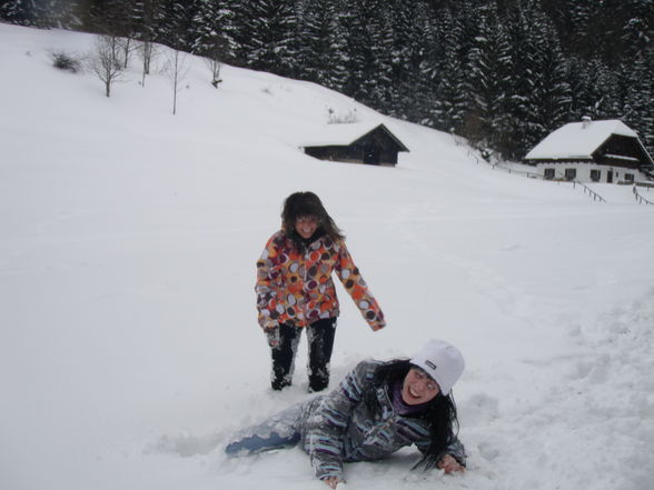 auf da hochsteinalm.... - 