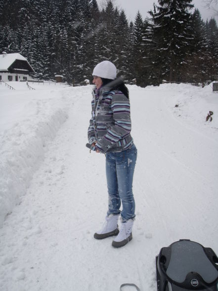 auf da hochsteinalm.... - 