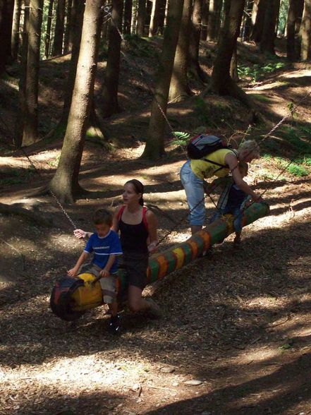 Wald der Kinder - 