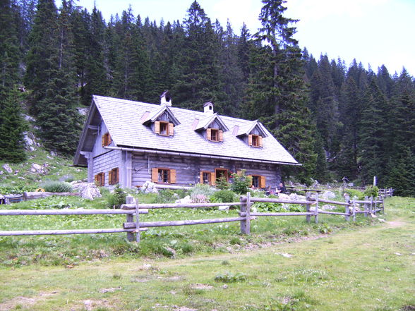 Meine Praxis auf der Alm - 